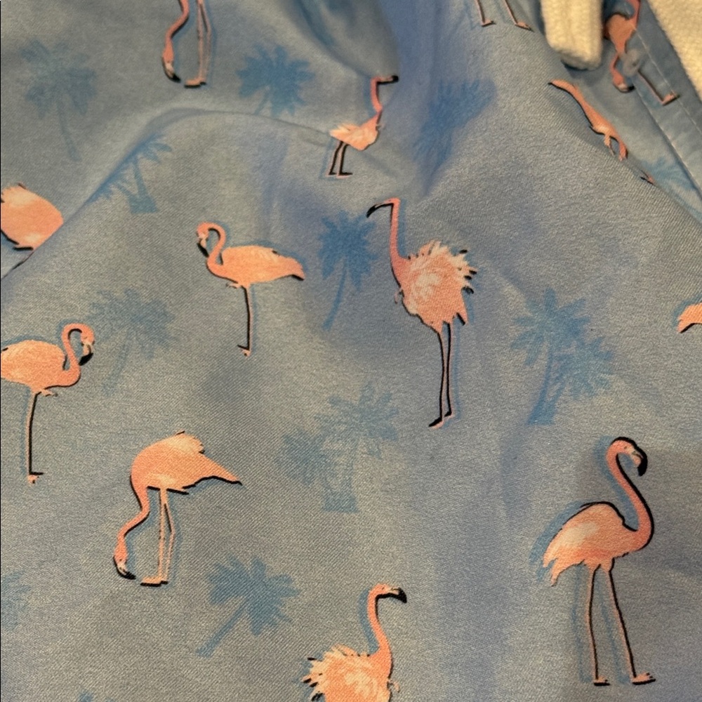 Blue Flamingo Print Swim Trunks with Pink Liner - Picture 5 of 12